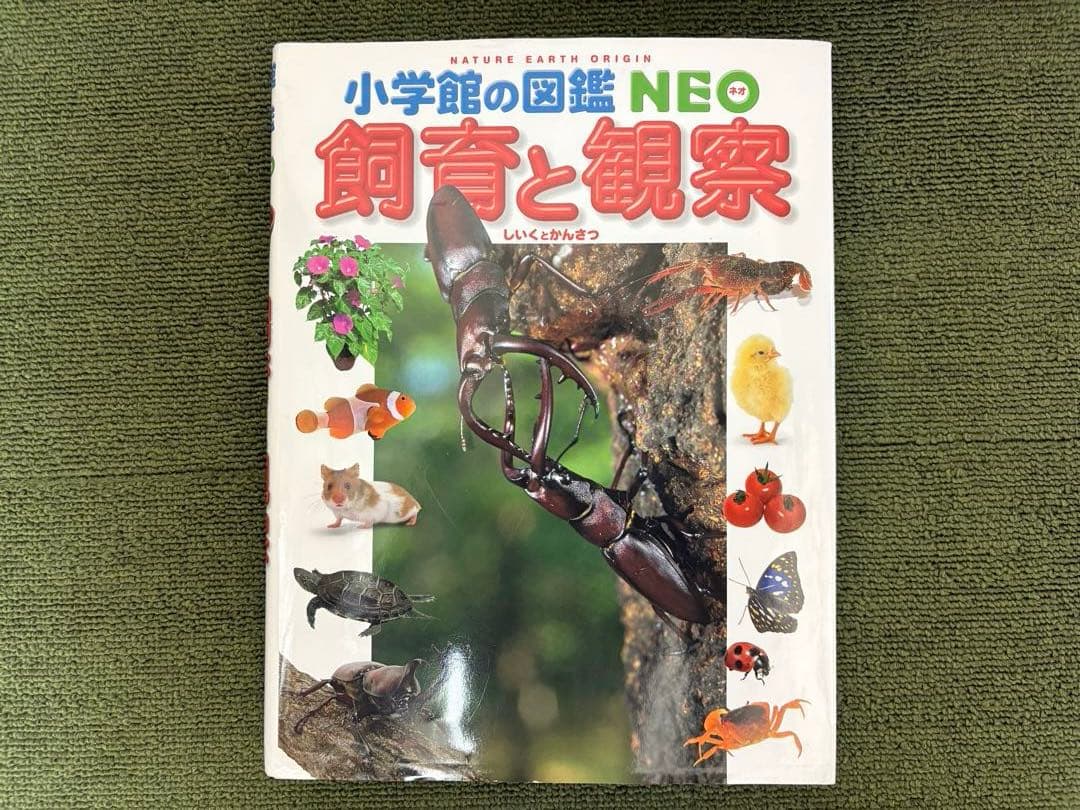 小学館の図鑑NEO10冊 ＆ 学研図鑑1冊、全11冊セット
