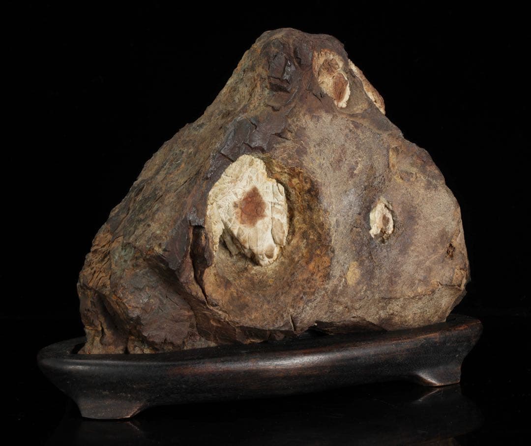 菊花石 花紋石 台座付 3.6kg 鑑賞石 原石 自然石 美石 水石 盆石 飾石