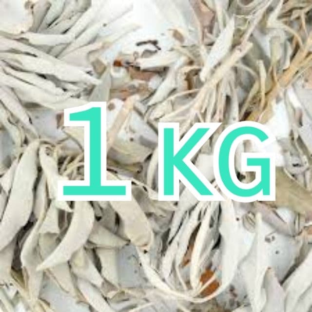 業務用価額☆無農薬ホワイトセージ枝付きクラスター1KG浄化お得