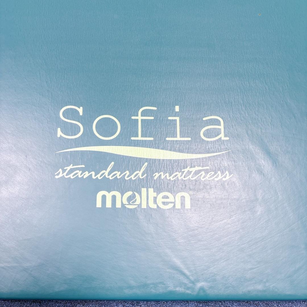 【レアちゃん様】molten ソフィアway マットレス リバーシブル 介護 ⑥