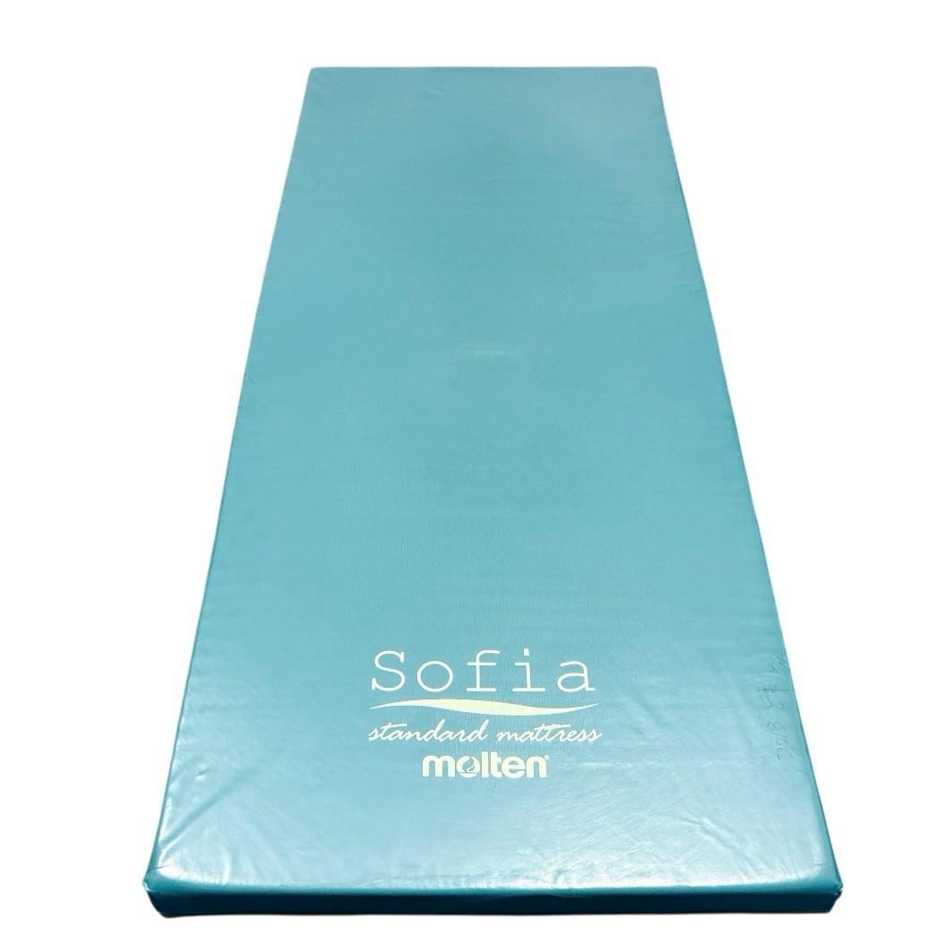 【レアちゃん様】molten ソフィアway マットレス リバーシブル 介護 ⑥