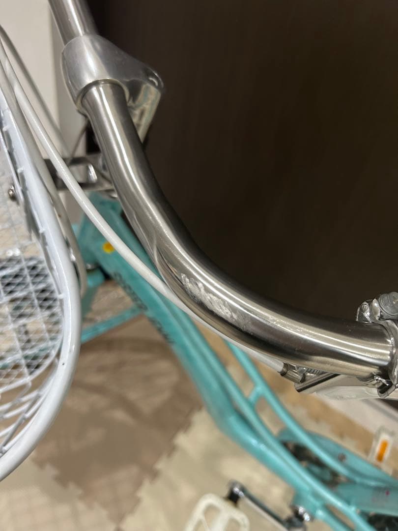 【値下げ】 子供自転車　シスタージェニー22インチ チェリー柄　ミントグリーン