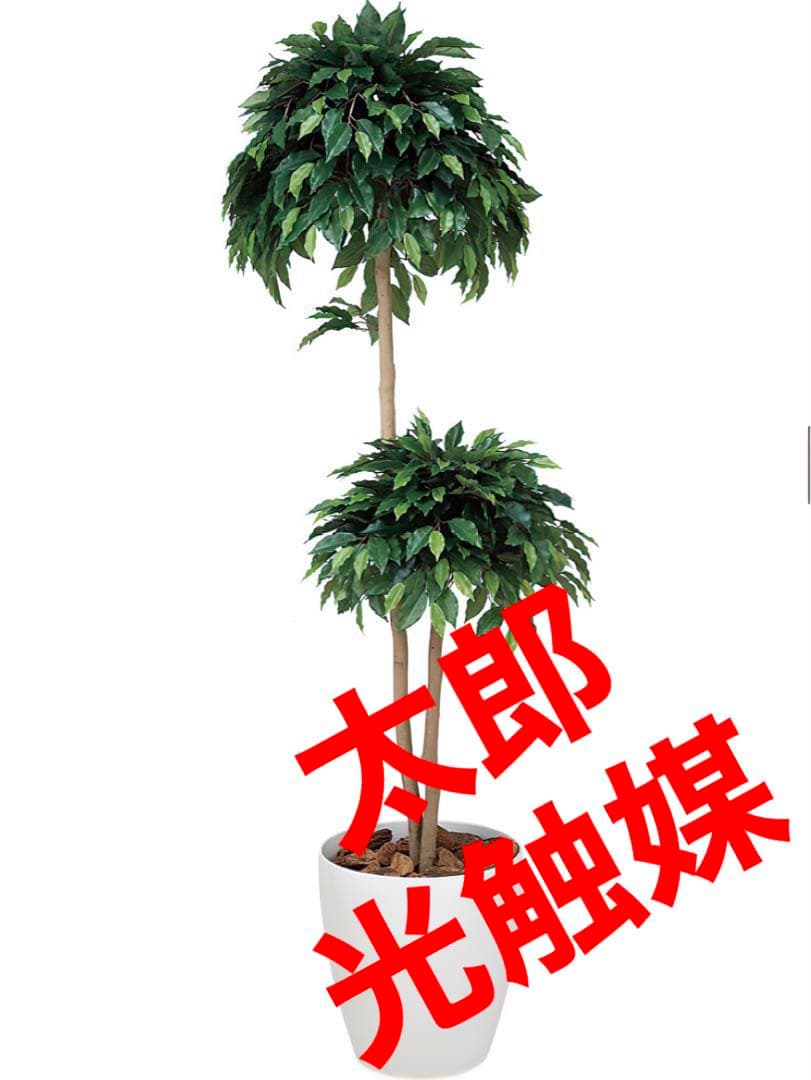 光触媒　人工観葉植物　フェイクグリーン　ベンジャミンダブル 1.8m