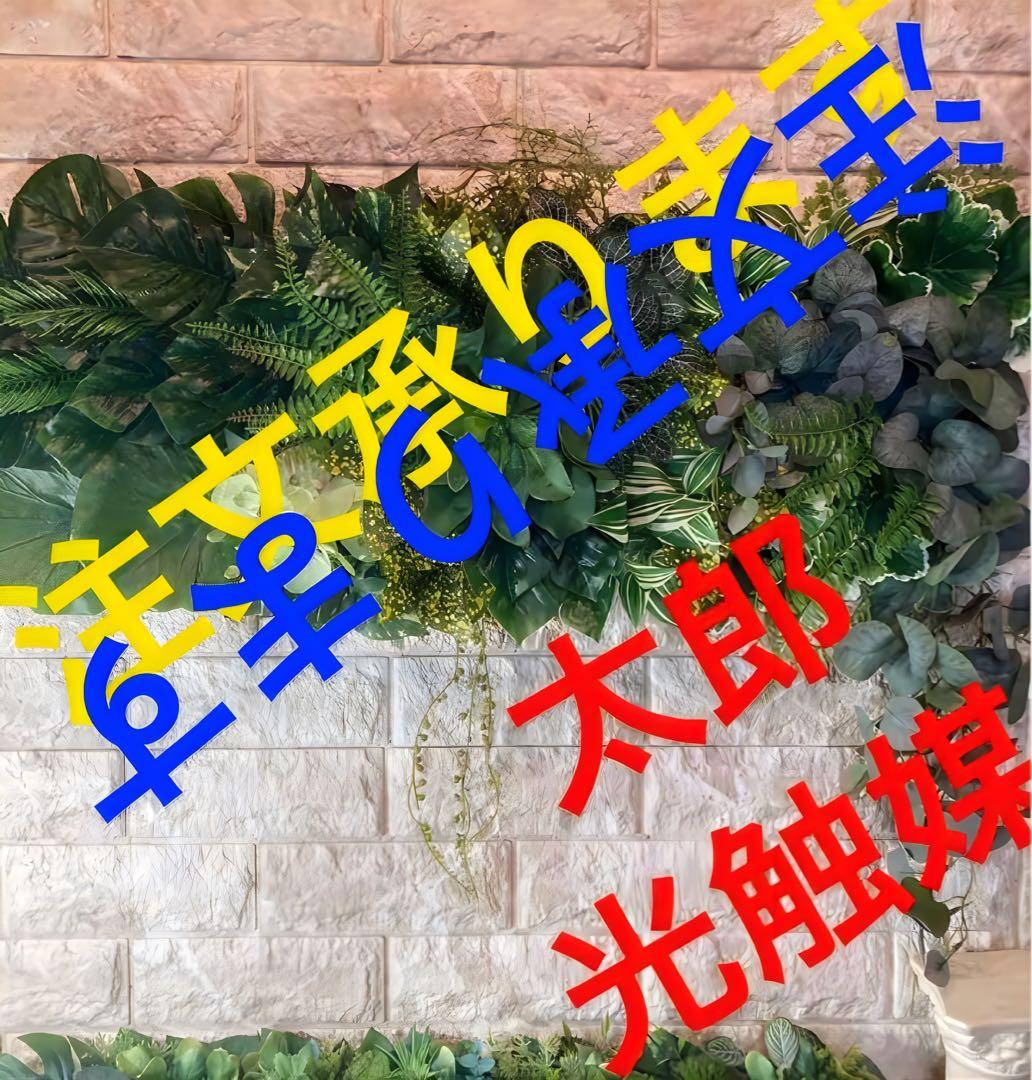 光触媒　人工観葉植物　ウォールグリーン　フェイクグリーン　ハンドメイド　！！！
