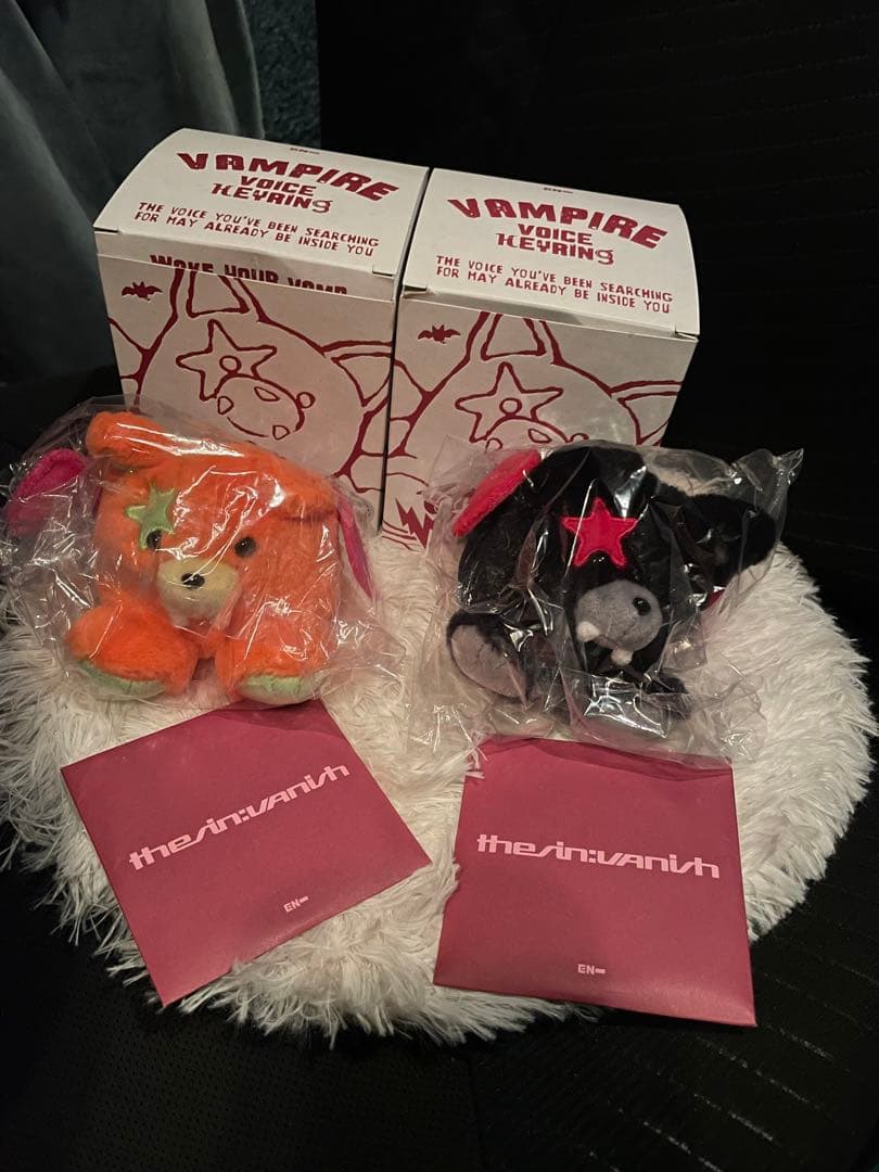 ENHYPEN THE SIN:VANISH ボイスキーリング　ヒスン　ニキ