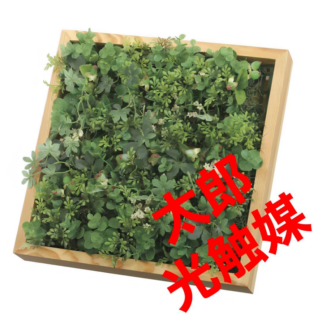 光触媒　人工観葉植物　ウォールグリーン　フェイクグリーン　壁掛けウッドボックス