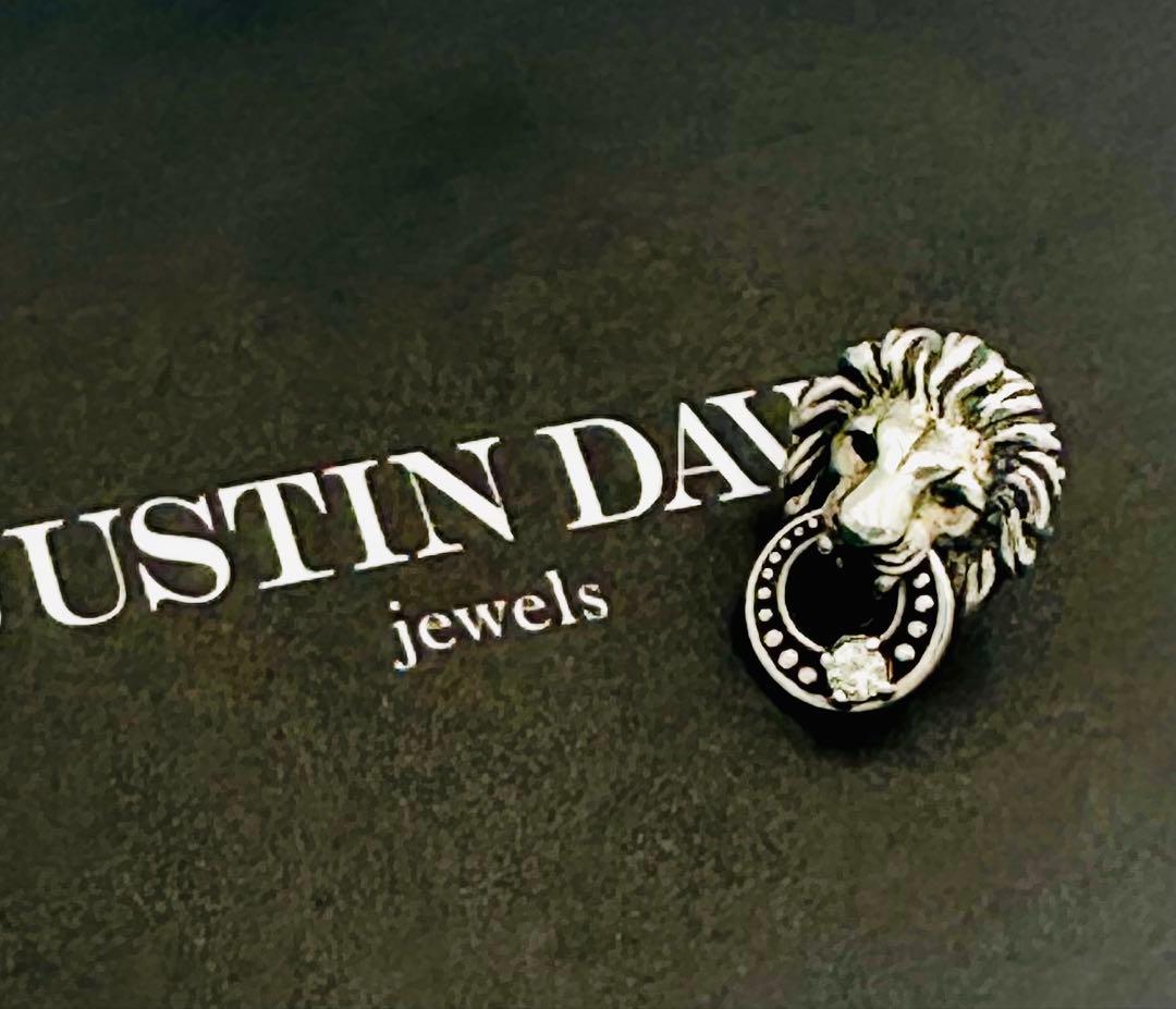 ジャスティンデイビス　内山秀雄　ライオンキーパー　SEJ522 ピアス 片耳