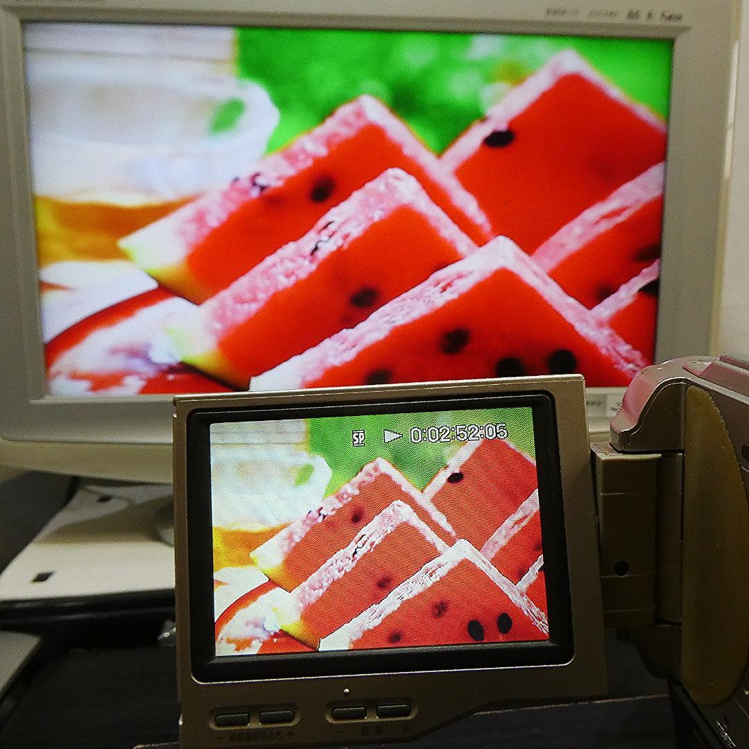 動作品ソニー DCR-TRV10 MiniDVビデオカメラ　DVDダビングに最適