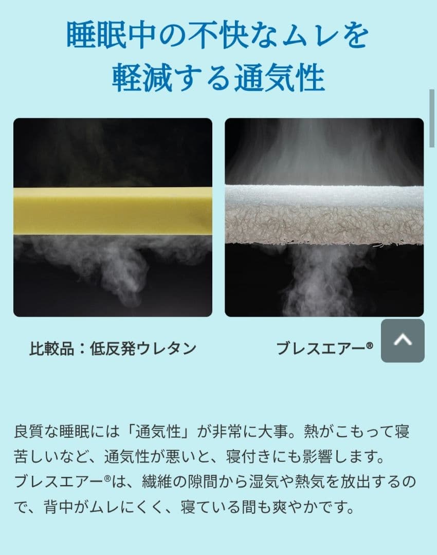 東洋紡 ブレスエアー ディノス購入6ヶ月使用 中古