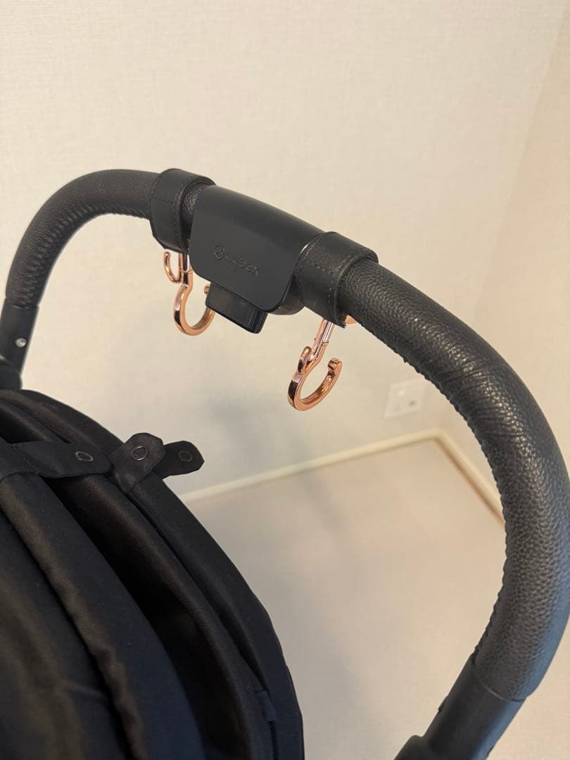 ★か★【キャノピー新品】サイベックス メリオカーボン