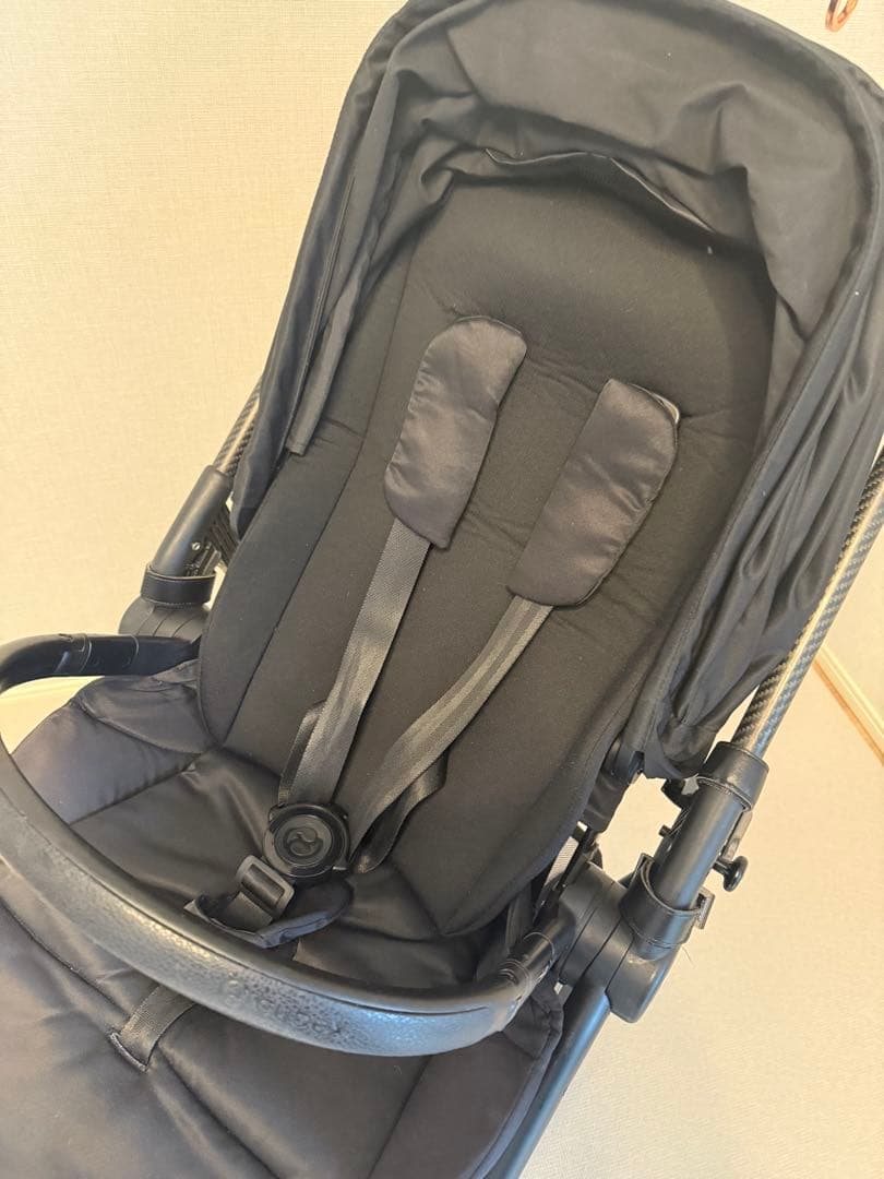 ★か★【キャノピー新品】サイベックス メリオカーボン