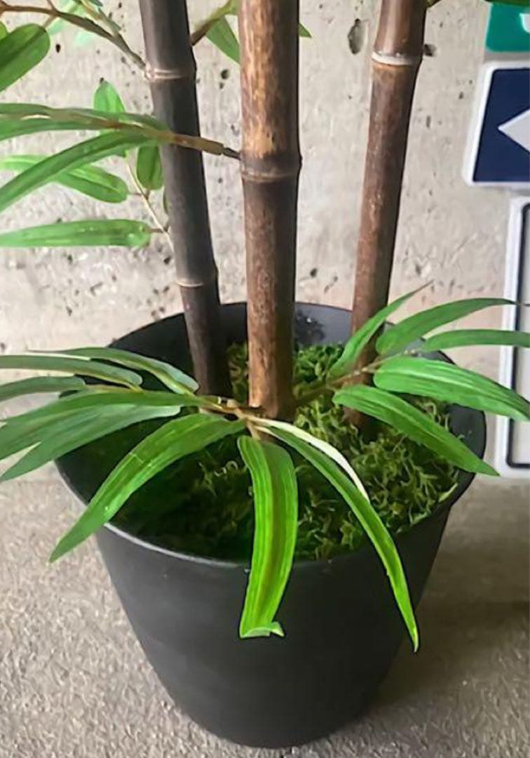 光触媒　人工観葉植物　ウォールグリーン　フェイクグリーン　黒竹@ad