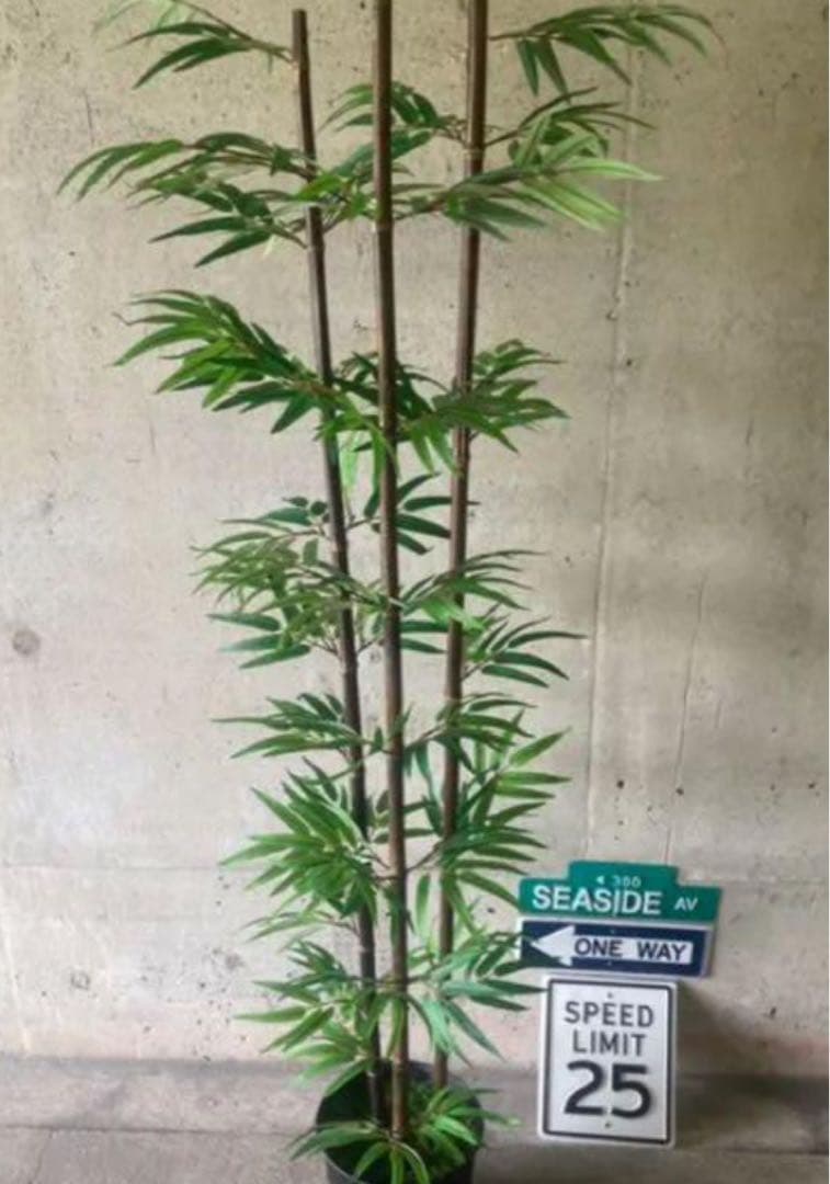 光触媒　人工観葉植物　ウォールグリーン　フェイクグリーン　黒竹@ad