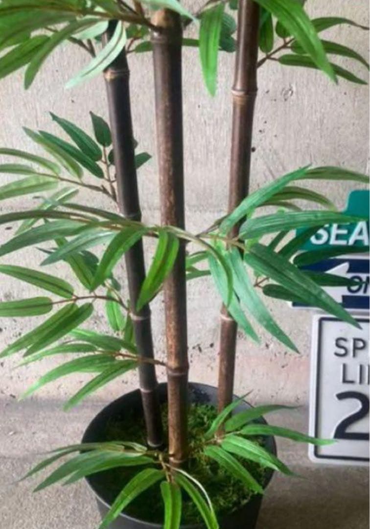 光触媒　人工観葉植物　ウォールグリーン　フェイクグリーン　黒竹@ad