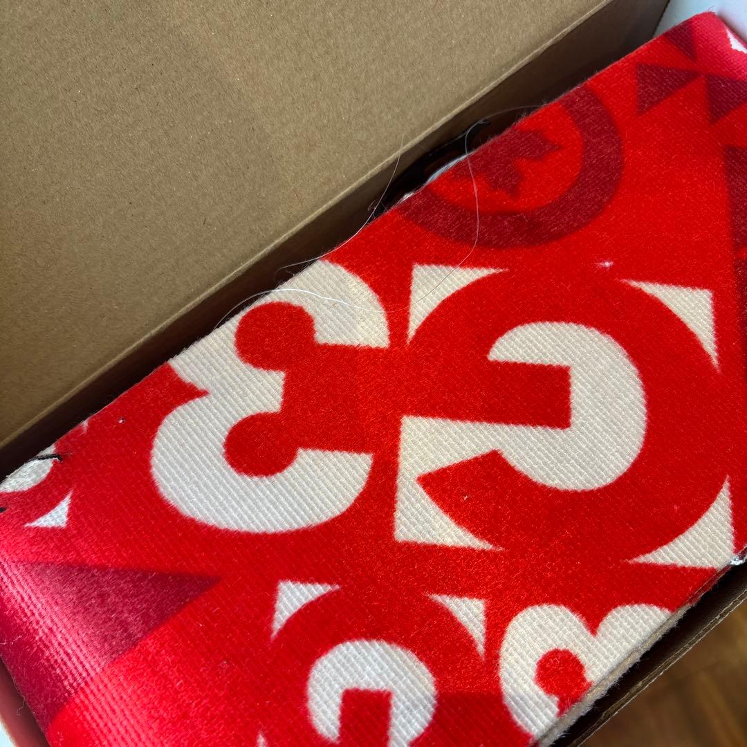 G3 スキーシール