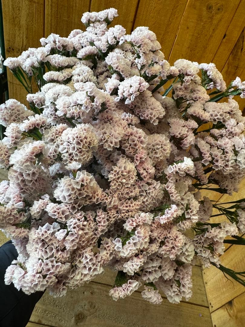 ⭐akikokoko⭐様 リクエスト 3点 まとめ商品