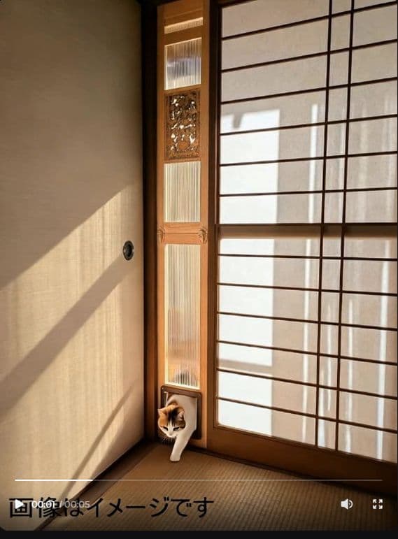 [行って帰る君]ペットドア ペット スルー