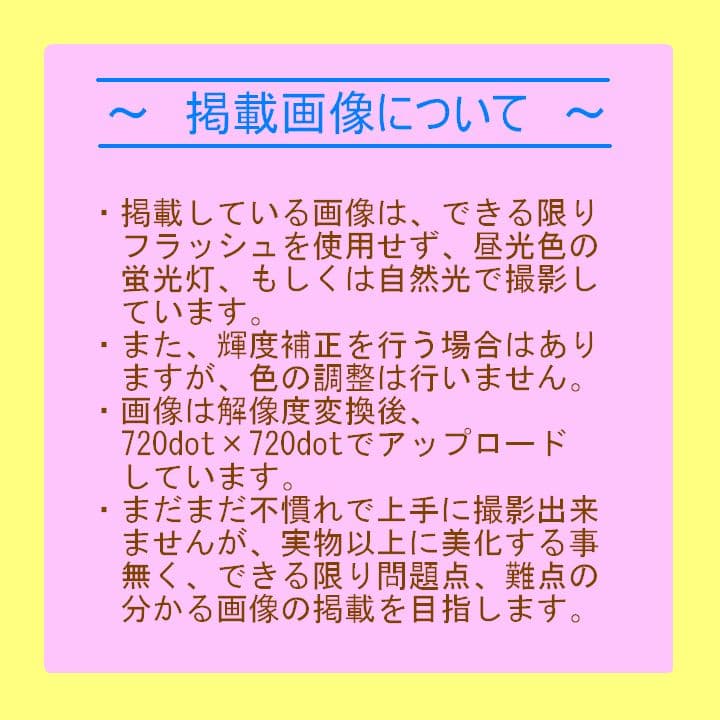 【PC-9801対応】PK-X486S50 CPUアクセラレーター「ジャンク②」