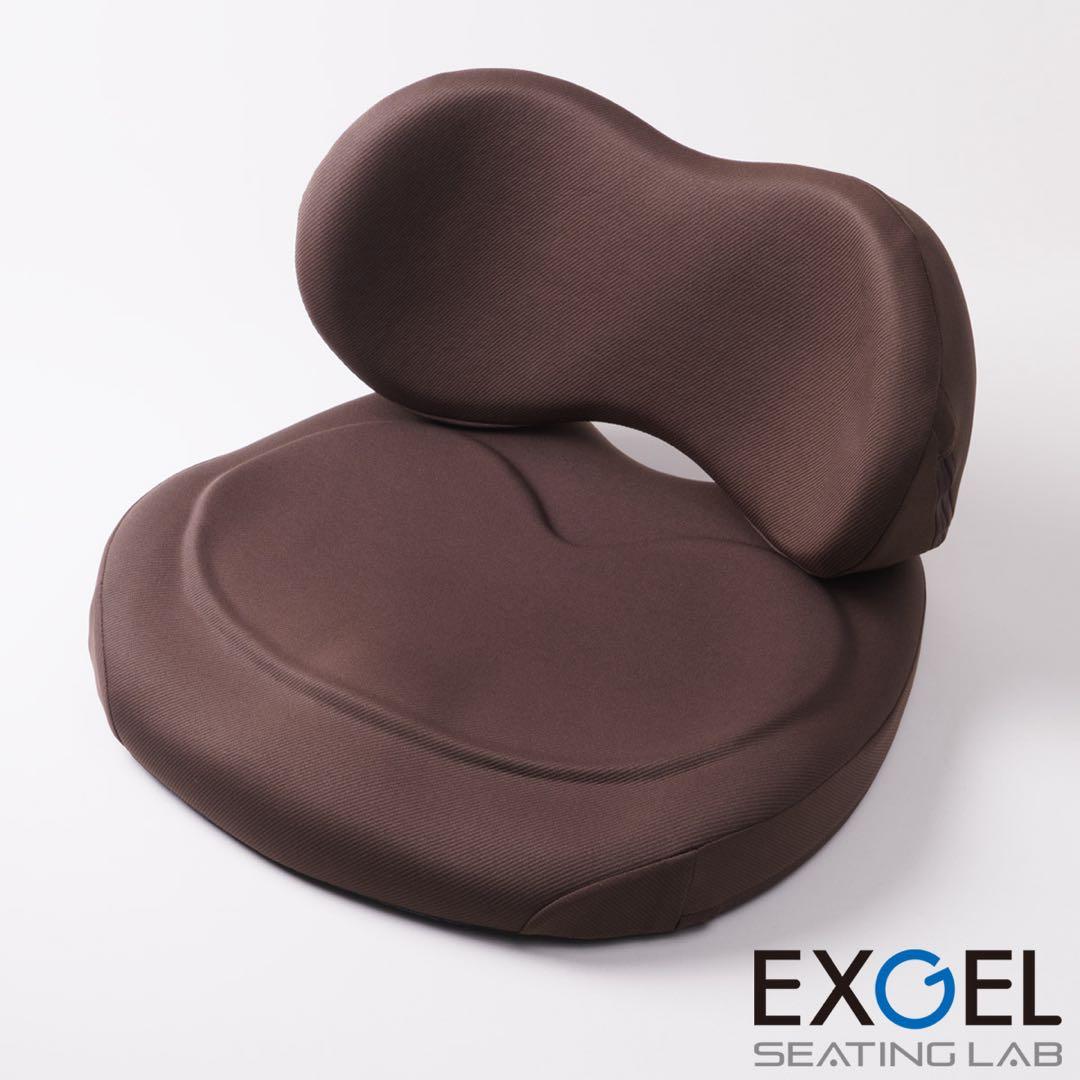 最短即日発送可能【超美品】EXGEL ハグカンフィプレミアム HUG01