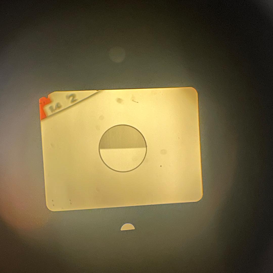 Canon 8mmフィルムカメラ 514XL