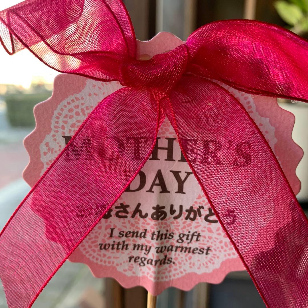 母の日リボン付きピック 100本セット HMA-FP32 ヘッズ HEADS