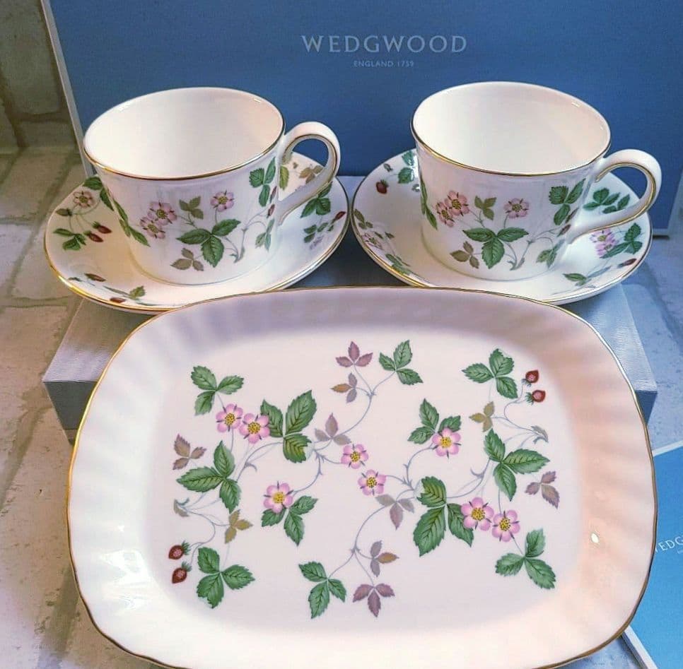 Springセール◆新品 ワイルドストロベリーC&S2客長皿1枚