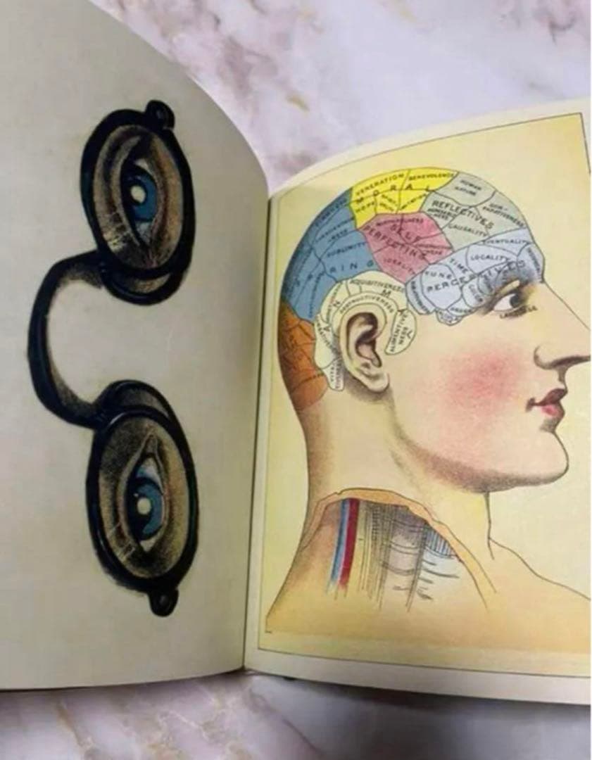 新品　未使用　ジョンデリアン　ブック　ステッカー　アッシュペー フランス