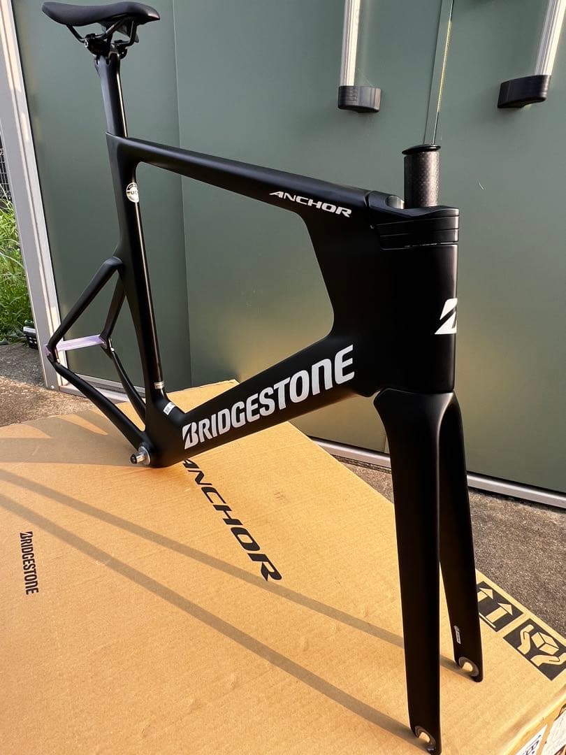 ブリヂストン　カーボンフレーム　ＴＥ９　Ｌサイズ