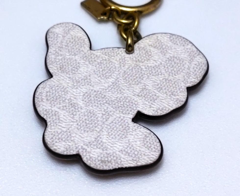 COACH コーチ　希少　スケボー レキシー　チャーム／キーリング　40799