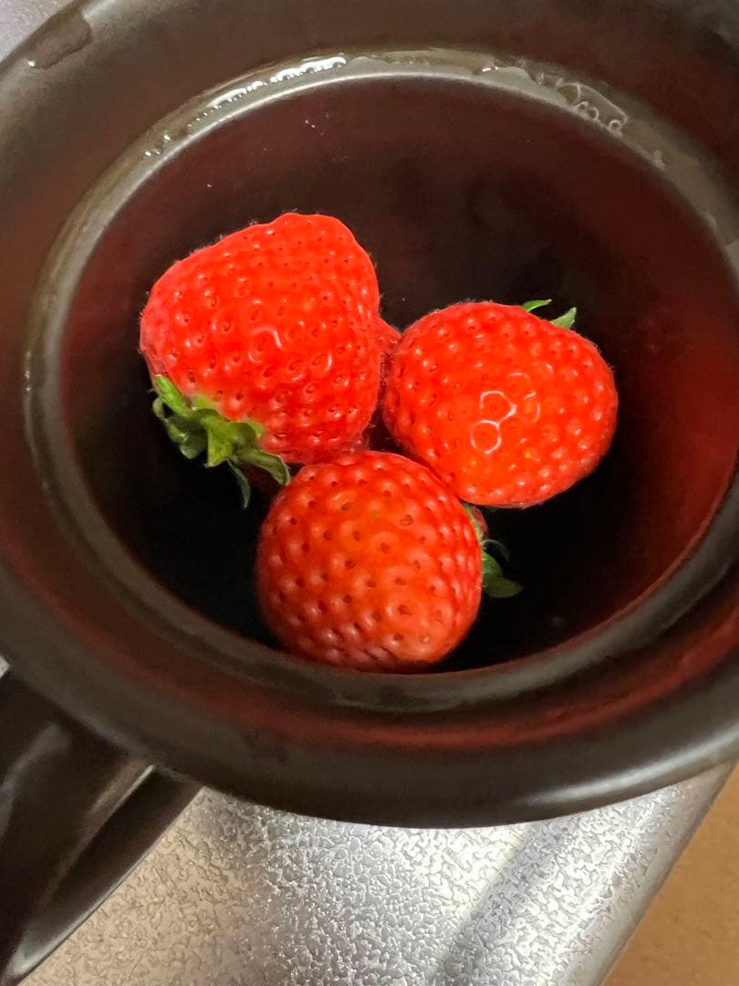 【新品】マイクロ波対策！電子レンジ専用　磁性鍋Lサイズ