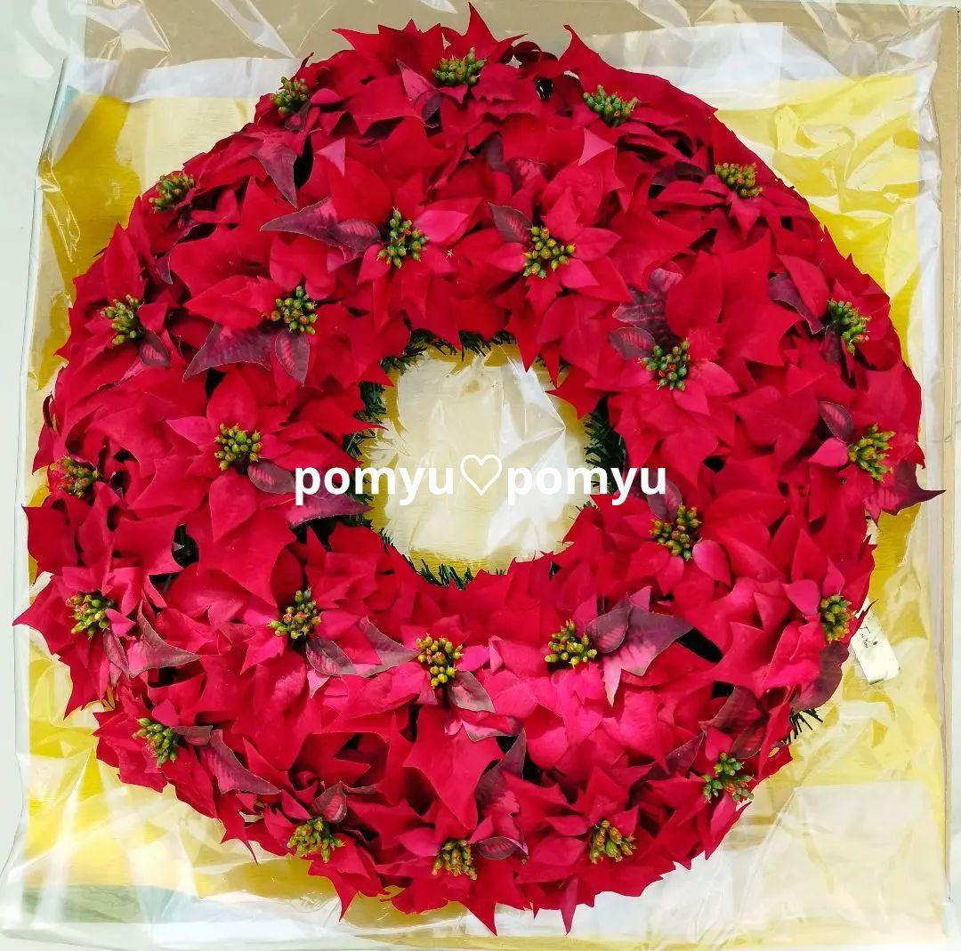 ポインセチア クリスマス リース 50cm