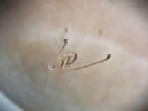 備前焼 佐藤苔助 手桶花入 焼き締 逸品 共布 共箱