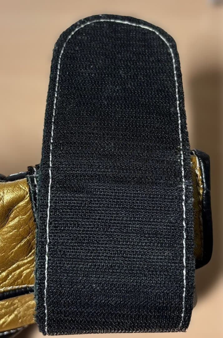 Winning ボクシンググローブ 黒/金