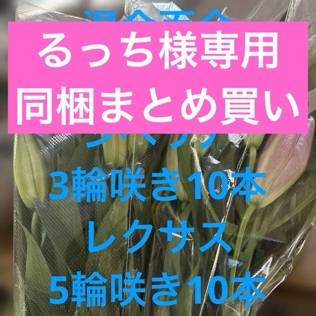 るっち 同梱まとめ買い 混合百合3〜5輪咲き40本 品種シベリア、レクサス