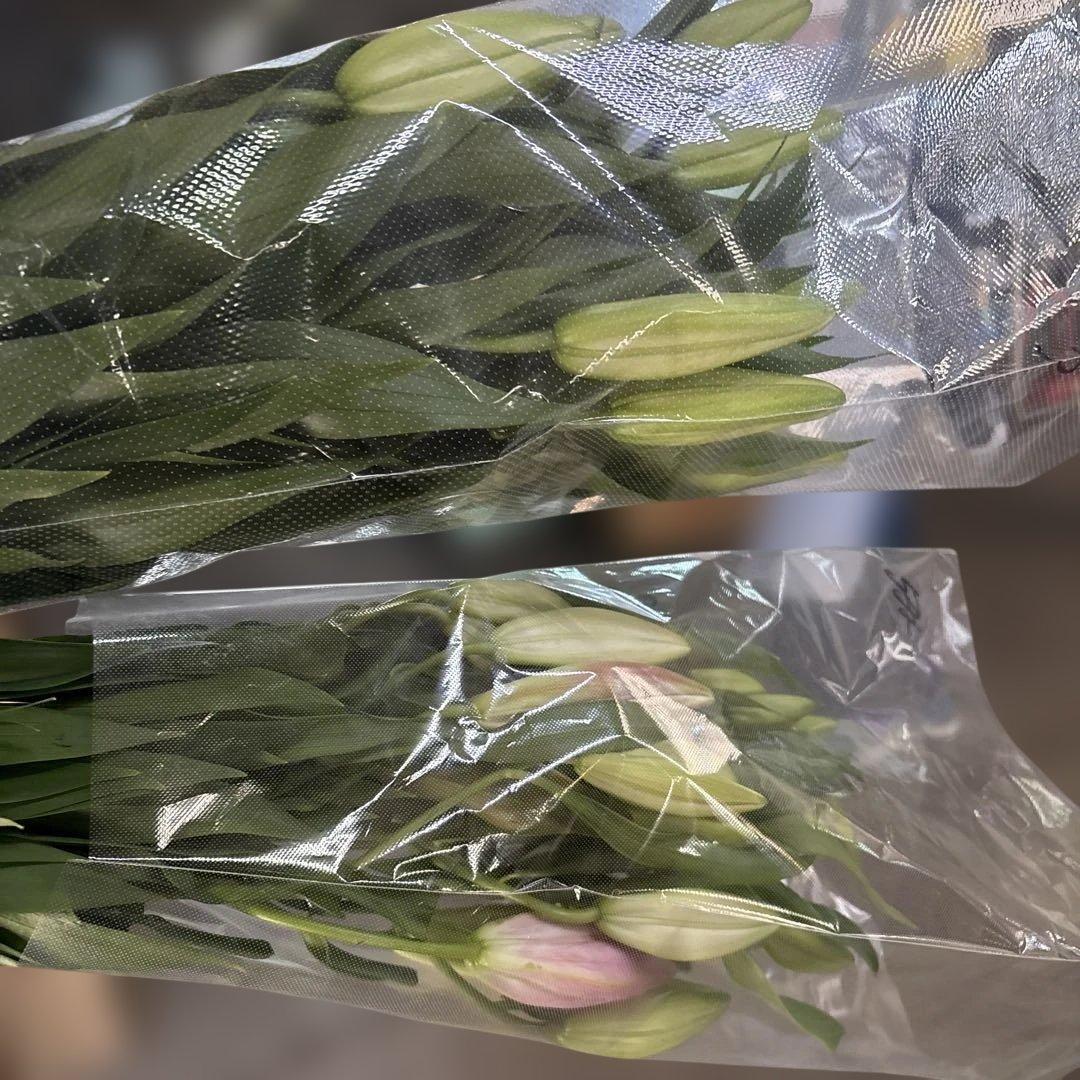 るっち 同梱まとめ買い 混合百合3〜5輪咲き40本 品種シベリア、レクサス