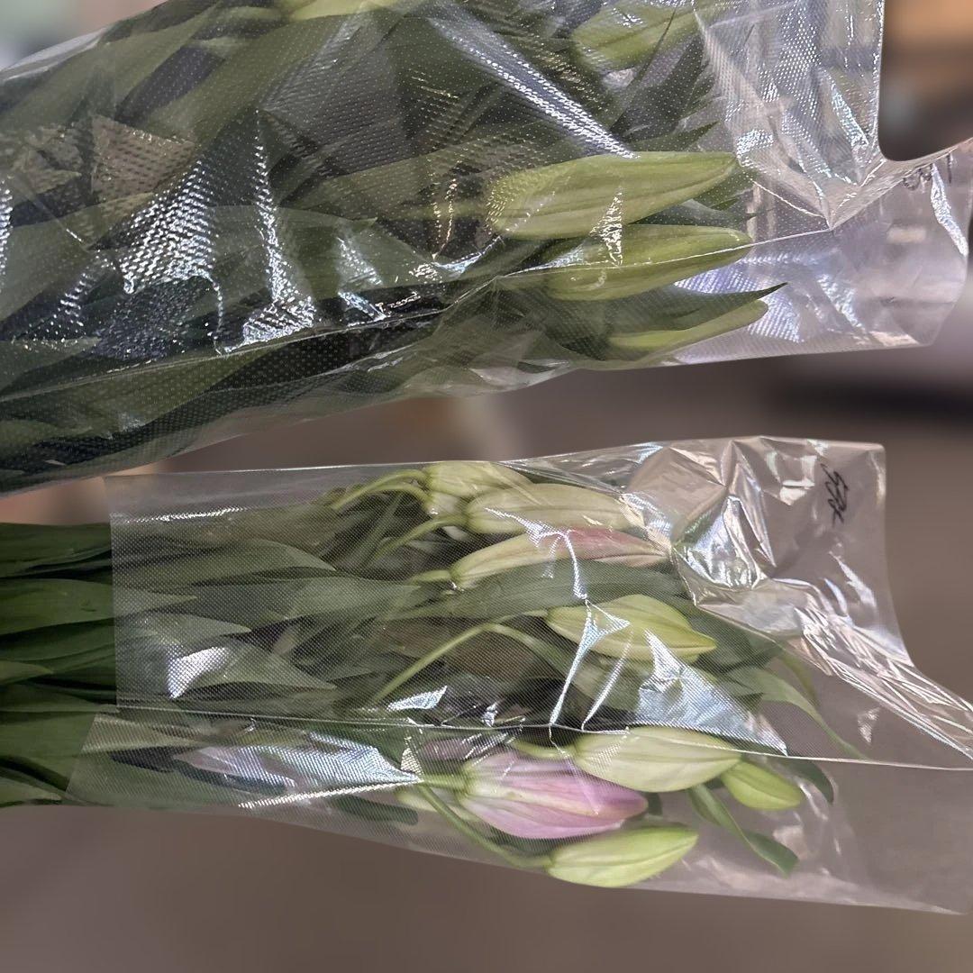 るっち 同梱まとめ買い 混合百合3〜5輪咲き40本 品種シベリア、レクサス