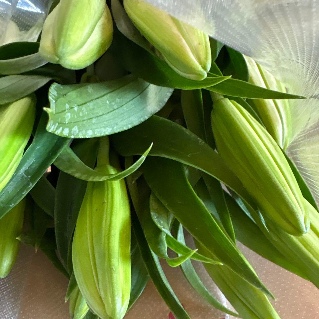 るっち 同梱まとめ買い 混合百合3〜5輪咲き40本 品種シベリア、レクサス