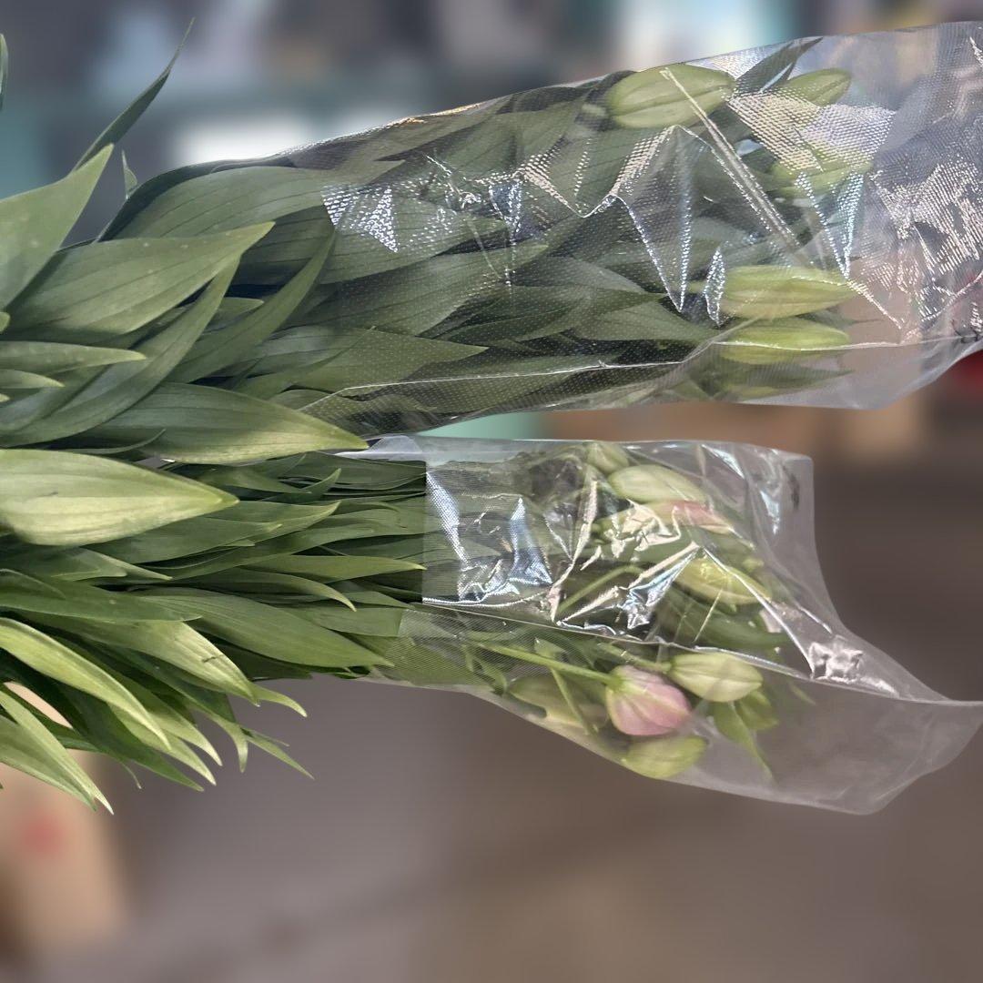 るっち 同梱まとめ買い 混合百合3〜5輪咲き40本 品種シベリア、レクサス