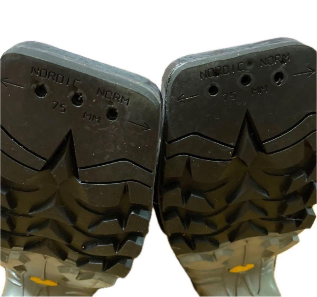 T4 スカルパ　バックカントリー　テレマーク　スキーブーツ　登山　インナー　靴