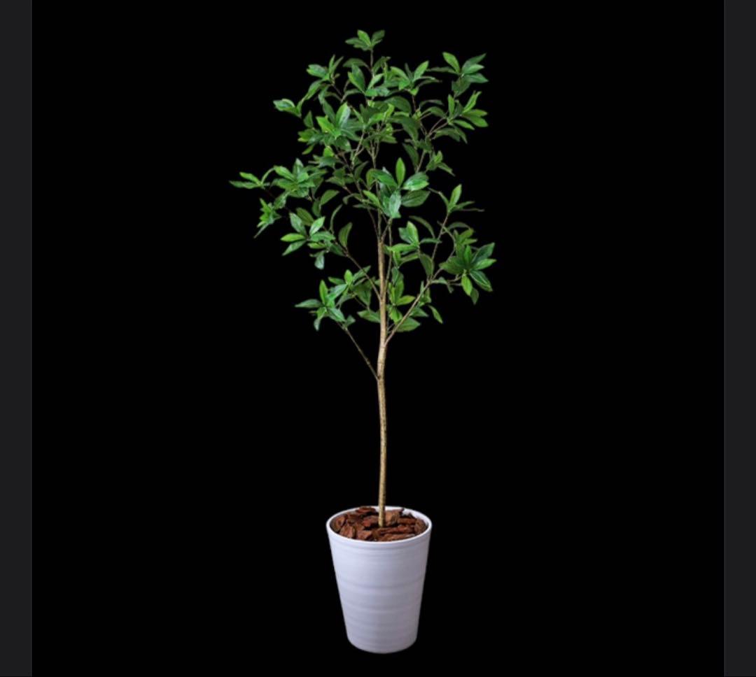 光触媒　人工観葉植物　ウォールグリーン　フェイクグリーン　アセビ8322