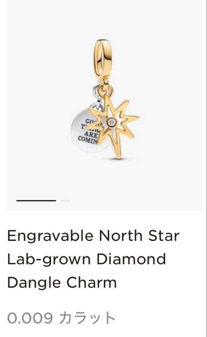 正規品Pandoraチャーム付きブレスレットセット　サイズ19（17㎝）