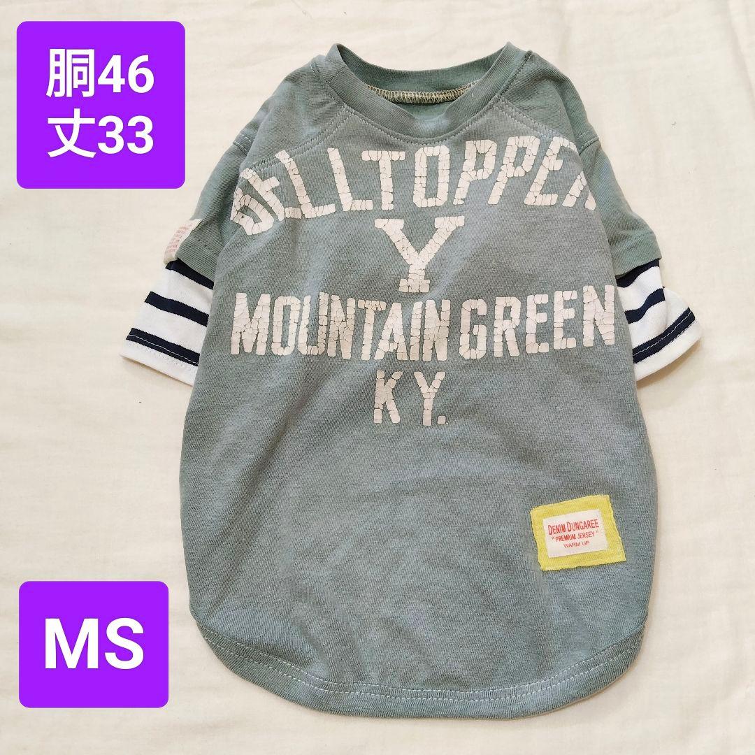 犬服 胴46 ☆371 重ね着風Tシャツ