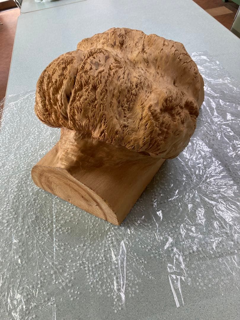 檜のコブ　檜の置物　希少価値あり　細工なし