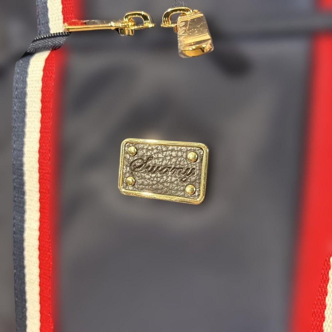 SWANY キャリーカート 旅行用品