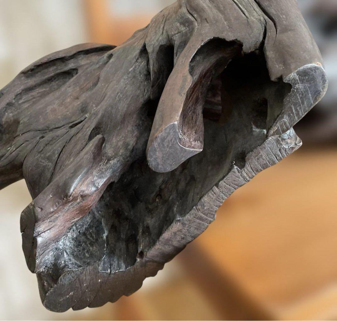 73cm 【大木　天然木　古根　オブジェ】古木　流線形