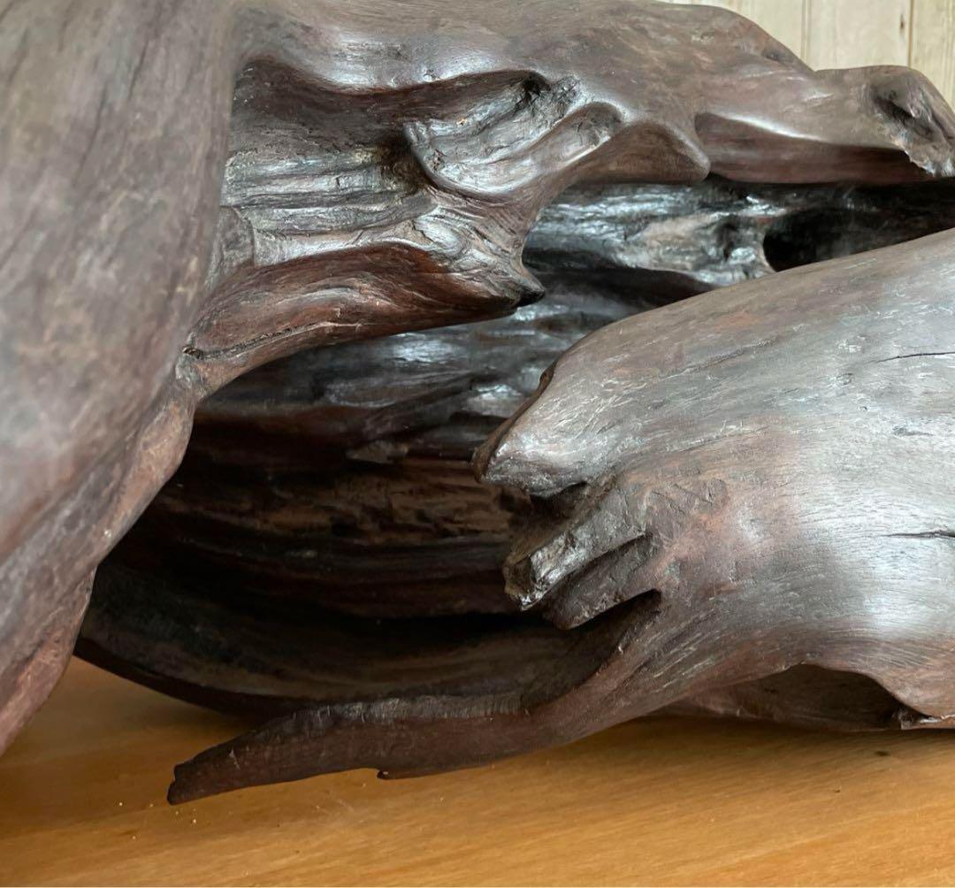 73cm 【大木　天然木　古根　オブジェ】古木　流線形