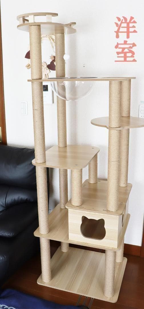 キャットタワー 木製 宇宙船カプセル 大型猫 据え置き型 多頭飼い 可愛い　透明