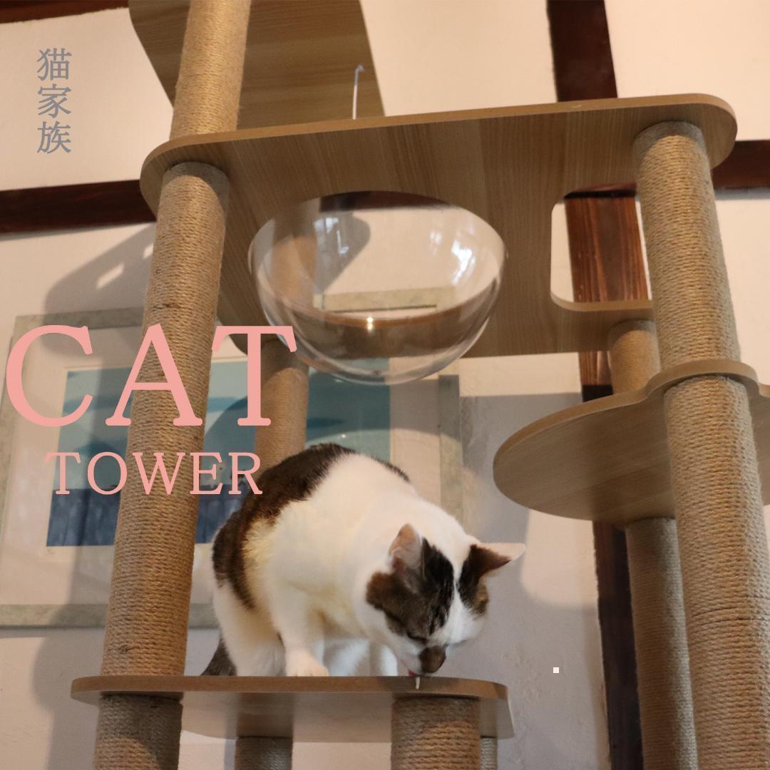 キャットタワー 木製 宇宙船カプセル 大型猫 据え置き型 多頭飼い 可愛い　透明
