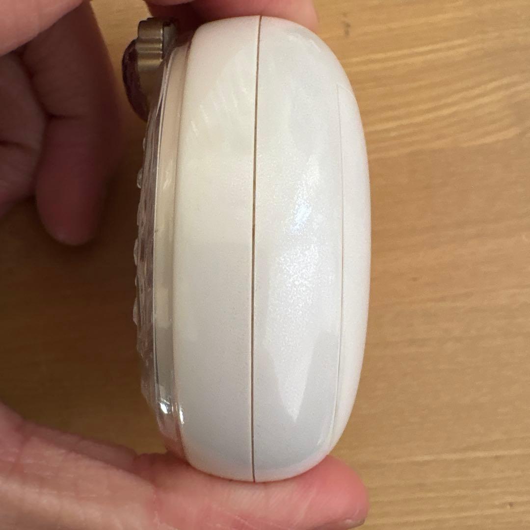 たまごっちレア物