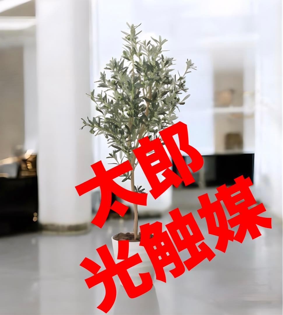 光触媒　人工観葉植物　フェイクグリーン　オリーブツリー 高さ 1.6m